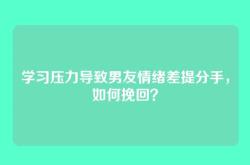 学习压力导致男友情绪差提分手，如何挽回？