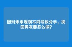 因对未来规划不同导致分手，挽回男友要怎么做？