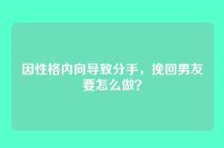 因性格内向导致分手，挽回男友要怎么做？