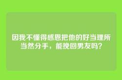 因我不懂得感恩把他的好当理所当然分手，能挽回男友吗？