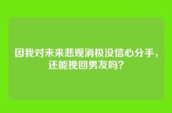 因我对未来悲观消极没信心分手，还能挽回男友吗？