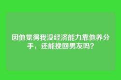 因他觉得我没经济能力靠他养分手，还能挽回男友吗？