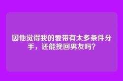 因他觉得我的爱带有太多条件分手，还能挽回男友吗？