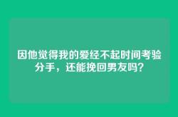 因他觉得我的爱经不起时间考验分手，还能挽回男友吗？