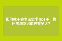 因为我不会表达需求而分手，挽回男朋友可能性有多大？