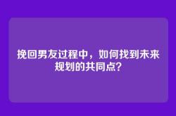 挽回男友过程中，如何找到未来规划的共同点？