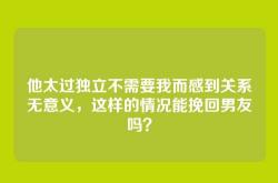 他太过独立不需要我而感到关系无意义，这样的情况能挽回男友吗？