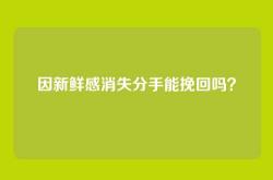 因新鲜感消失分手能挽回吗？