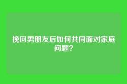 挽回男朋友后如何共同面对家庭问题？