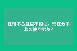 性格不合且互不相让，现在分手怎么挽回男友？