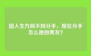 因人生方向不同分手，现在分手怎么挽回男友？