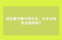 因发展节奏不同分手，分手还有机会挽回吗？