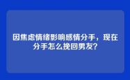 因焦虑情绪影响感情分手，现在分手怎么挽回男友？