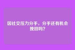 因社交压力分手，分手还有机会挽回吗？