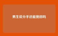 男生说分手还能挽回吗