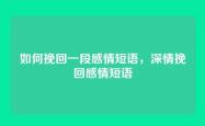 如何挽回一段感情短语，深情挽回感情短语