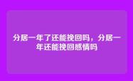 分居一年了还能挽回吗，分居一年还能挽回感情吗