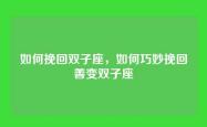 如何挽回双子座，如何巧妙挽回善变双子座