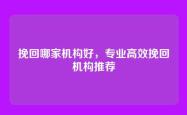 挽回哪家机构好，专业高效挽回机构推荐