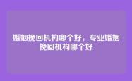 婚姻挽回机构哪个好，专业婚姻挽回机构哪个好
