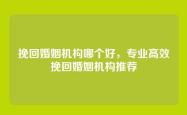 挽回婚姻机构哪个好，专业高效挽回婚姻机构推荐