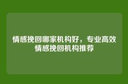 情感挽回哪家机构好，专业高效情感挽回机构推荐