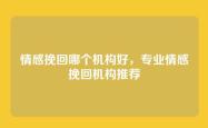 情感挽回哪个机构好，专业情感挽回机构推荐