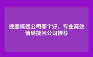 挽回情感公司哪个好，专业高效情感挽回公司推荐