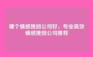 哪个情感挽回公司好，专业高效情感挽回公司推荐