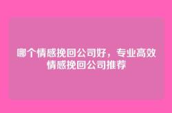 哪个情感挽回公司好，专业高效情感挽回公司推荐