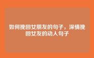 如何挽回女朋友的句子，深情挽回女友的动人句子