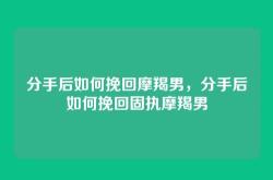 分手后如何挽回摩羯男，分手后如何挽回固执摩羯男