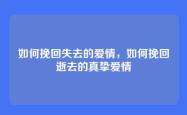 如何挽回失去的爱情，如何挽回逝去的真挚爱情
