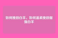 如何挽回白羊，如何温柔挽回倔强白羊
