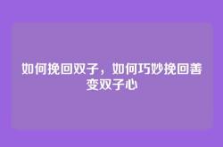 如何挽回双子，如何巧妙挽回善变双子心