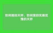 如何挽回天秤，如何挽回优雅犹豫的天秤