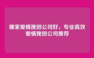 哪家爱情挽回公司好，专业高效爱情挽回公司推荐