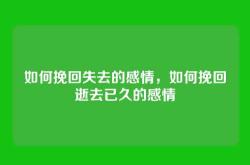 如何挽回失去的感情，如何挽回逝去已久的感情