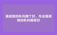 情感挽回机构哪个好，专业情感挽回机构哪家好