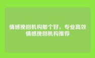 情感挽回机构那个好，专业高效情感挽回机构推荐