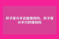 双子座分手还能挽回吗，双子座分手巧妙挽回吗