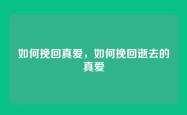 如何挽回真爱，如何挽回逝去的真爱