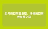 如何挽回前妻复婚，深情挽回前妻复婚之路