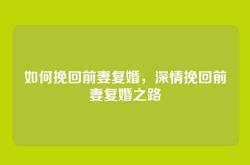 如何挽回前妻复婚，深情挽回前妻复婚之路