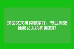 挽回丈夫机构哪家好，专业高效挽回丈夫机构哪家好