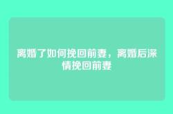 离婚了如何挽回前妻，离婚后深情挽回前妻