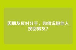 因朋友反对分手，如何说服他人挽回男友？