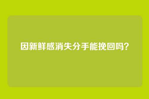 因新鲜感消失分手能挽回吗？