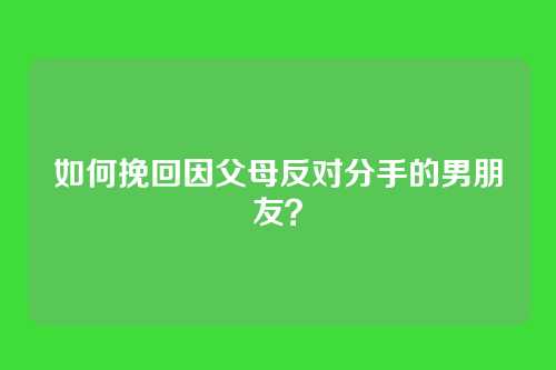 如何挽回因父母反对分手的男朋友？