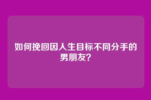 如何挽回因人生目标不同分手的男朋友？